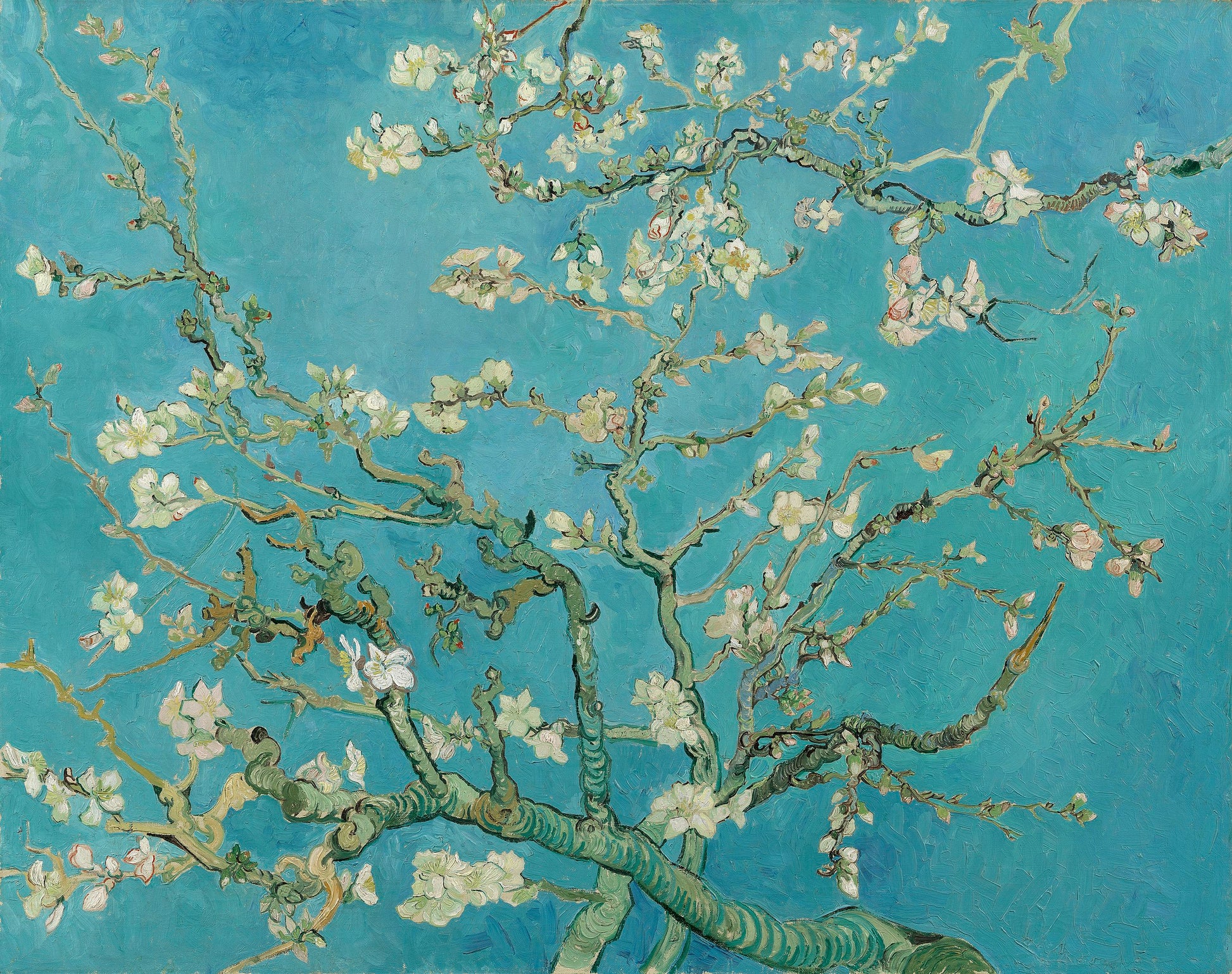 Migdałowiec w kwiatach - Vincent van Gogh
