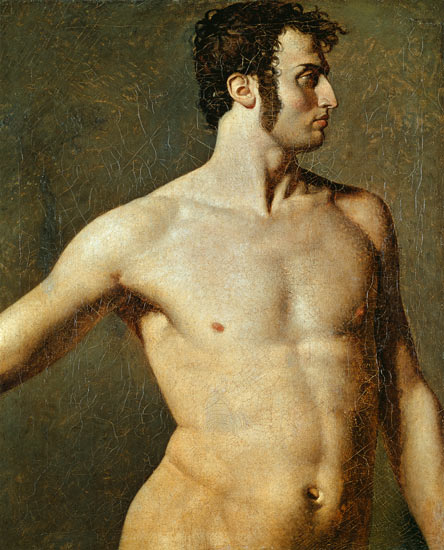 Torso mężczyzny - Jean-Auguste-Dominique Ingres
