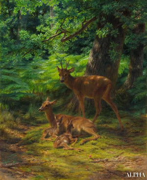 Róża Bonheur