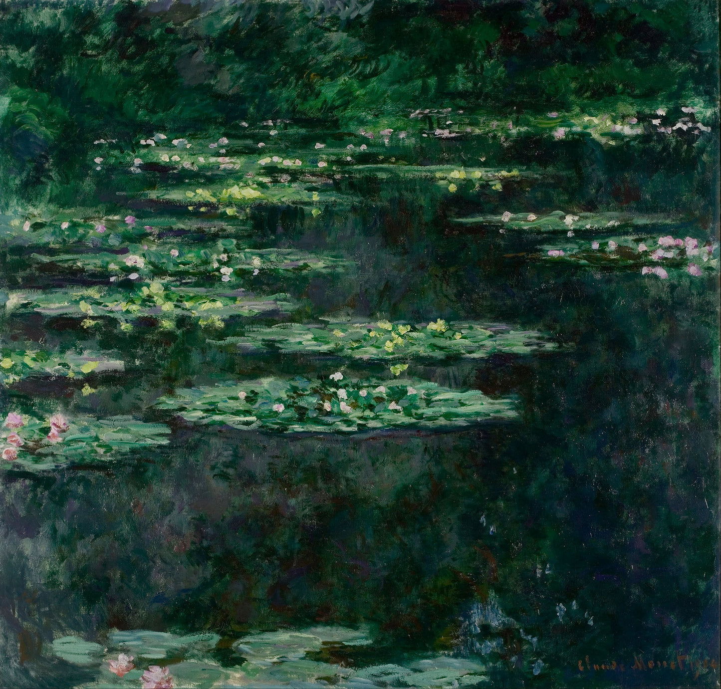 Czarne Nenufary – Claude Monet (1907)