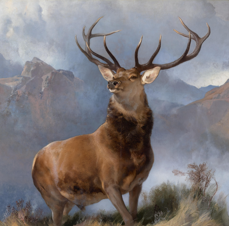 Le Monarque de la vallée - Edwin Landseer