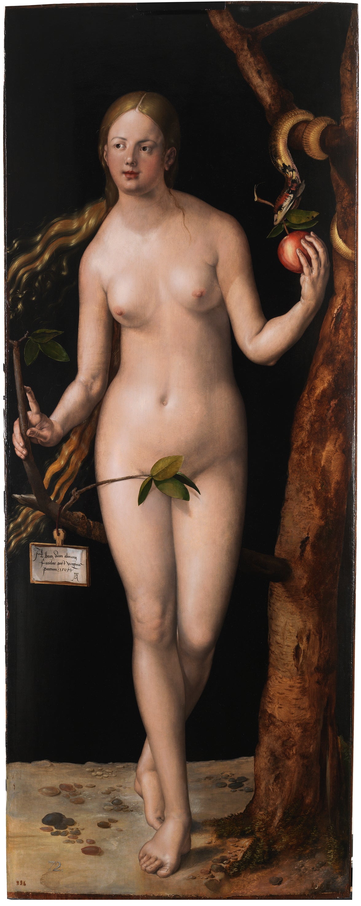 Ewa - Albrecht Dürer