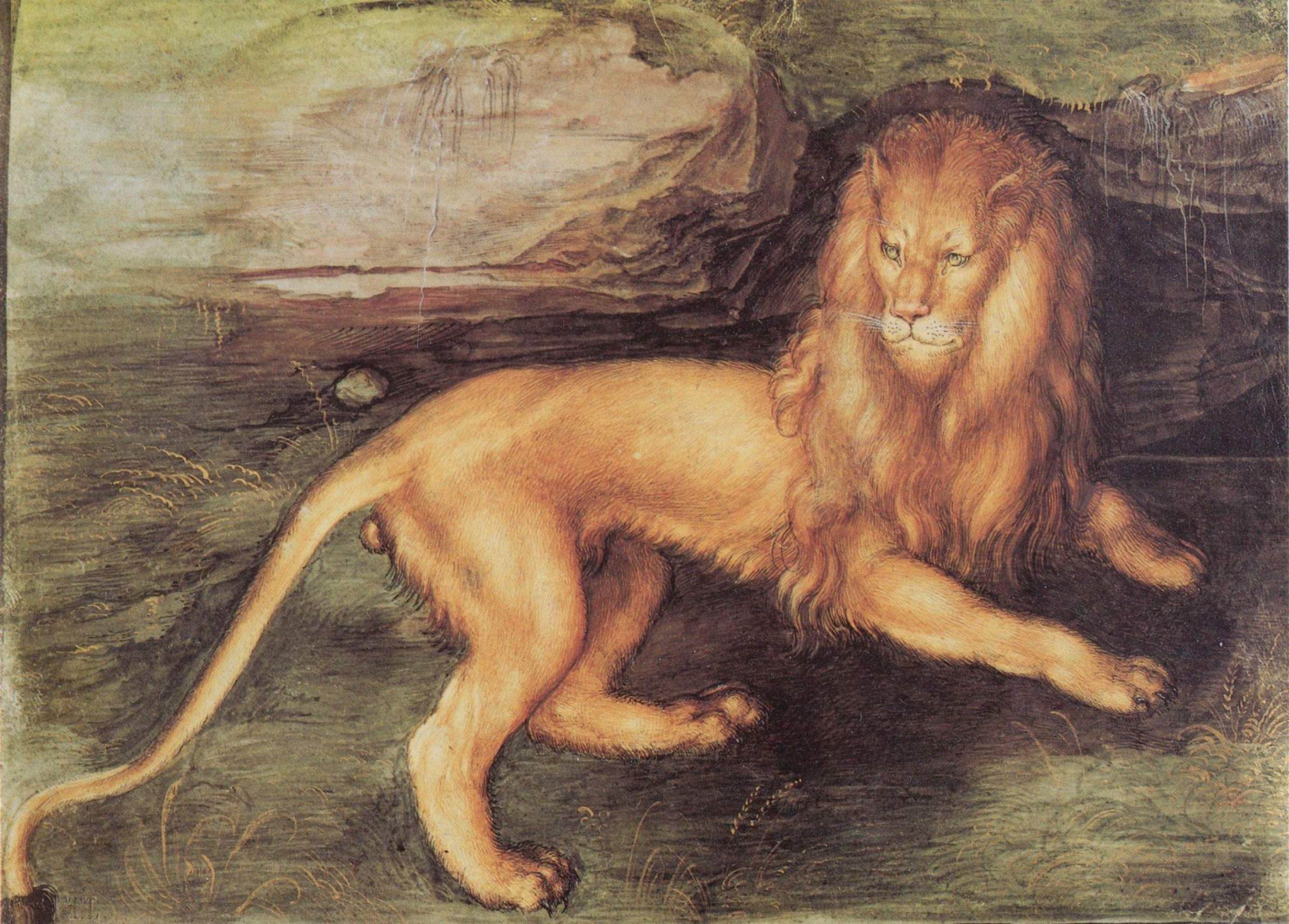 Lew - Albrecht Dürer
