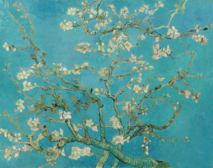 Migdałowiec w kwiatach - Vincent van Gogh