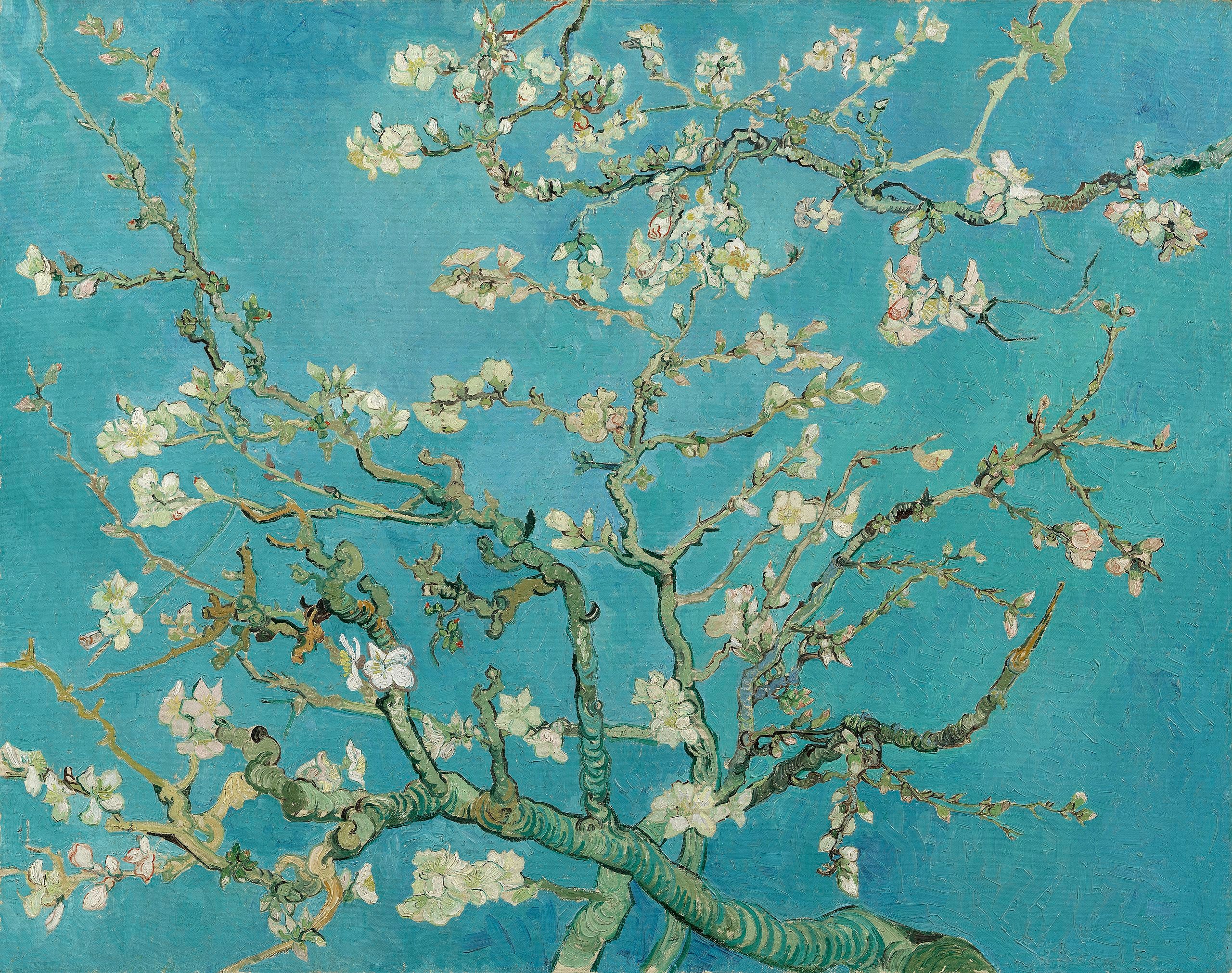 Migdałowiec w kwiatach - Vincent van Gogh