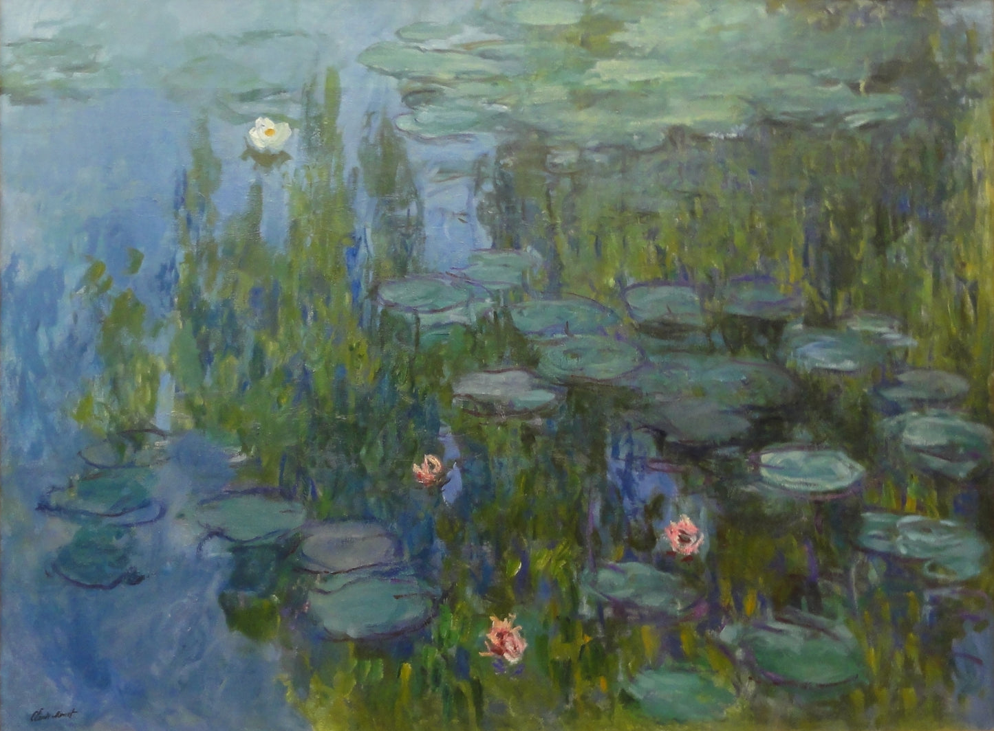 🌿 Liliowce wodne o głębokich tonach i kwiatowym świetle – Claude Monet