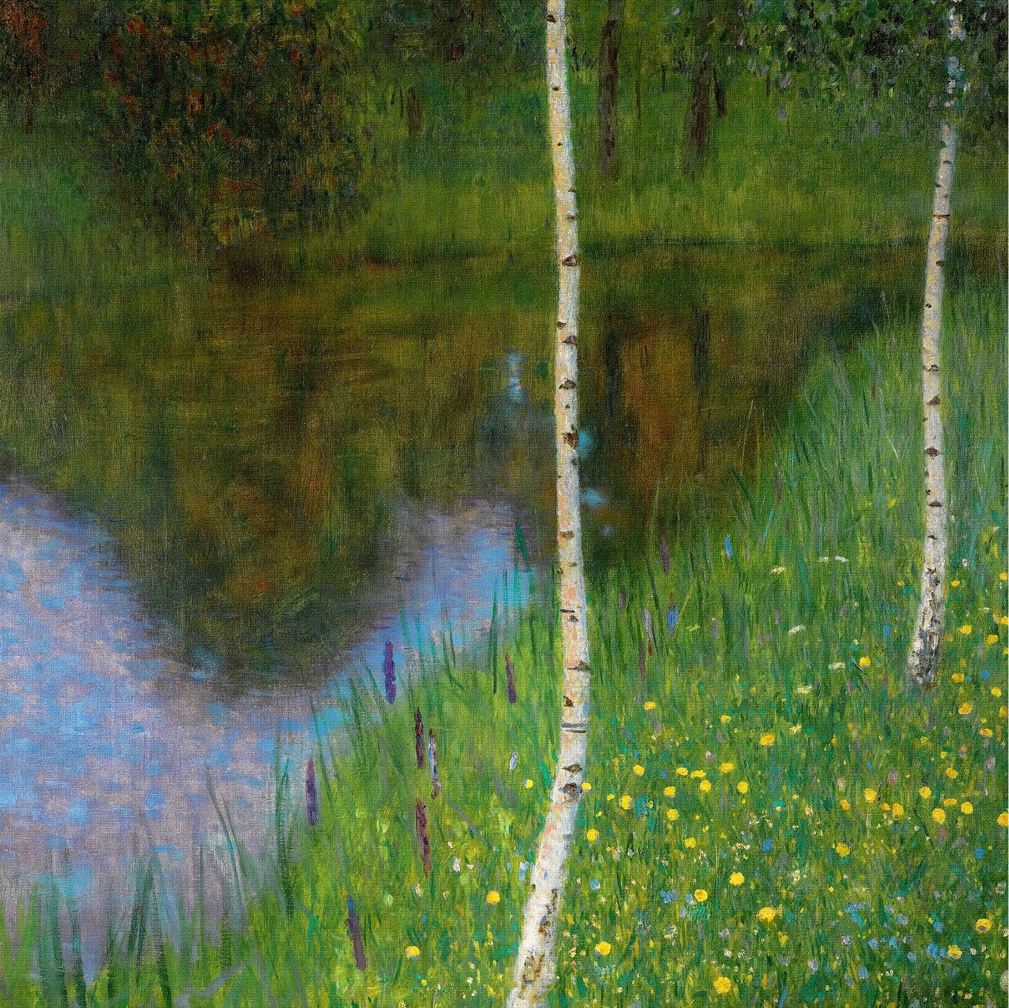 🌳 Brzeg jeziora z brzozami – Gustav Klimt (około 1901)