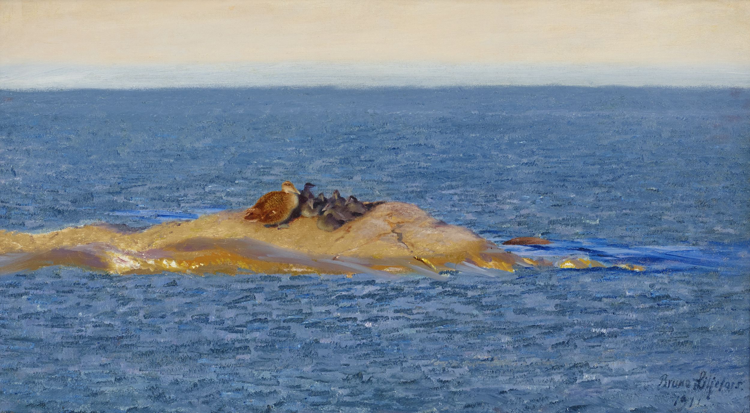 Famille Eider - Bruno Liljefors