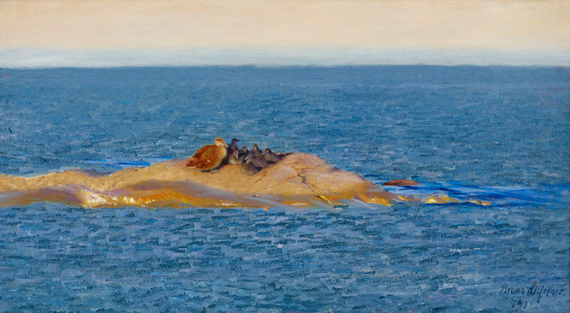 Famille Eider - Bruno Liljefors