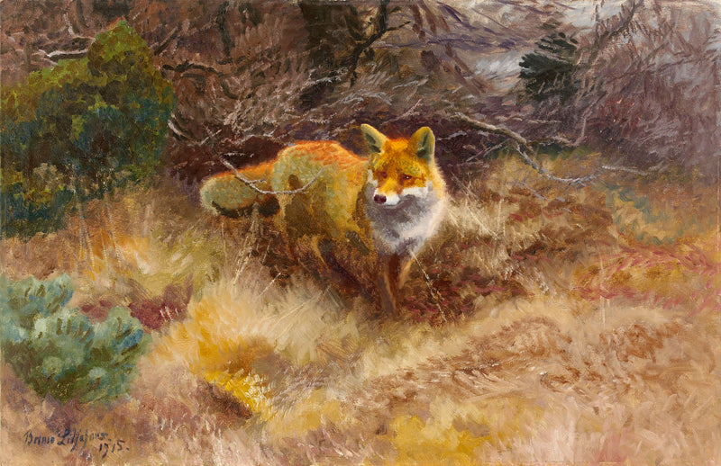 Le renard et le paysage - Bruno Liljefors