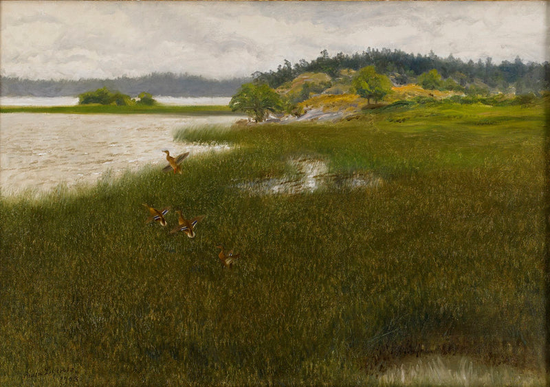 Des canards décollent - Bruno Liljefors