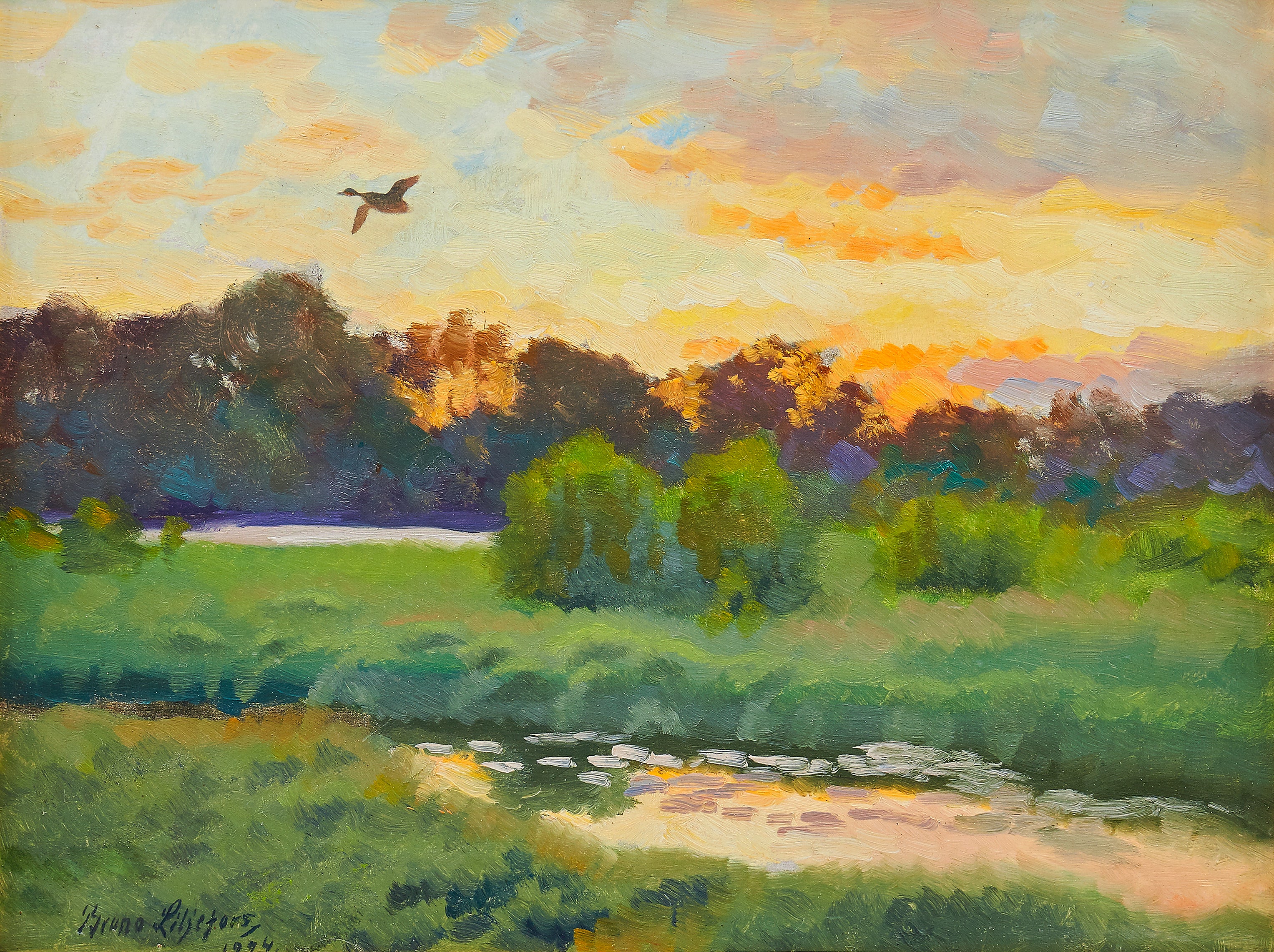 oiseau marin étiré - Bruno Liljefors