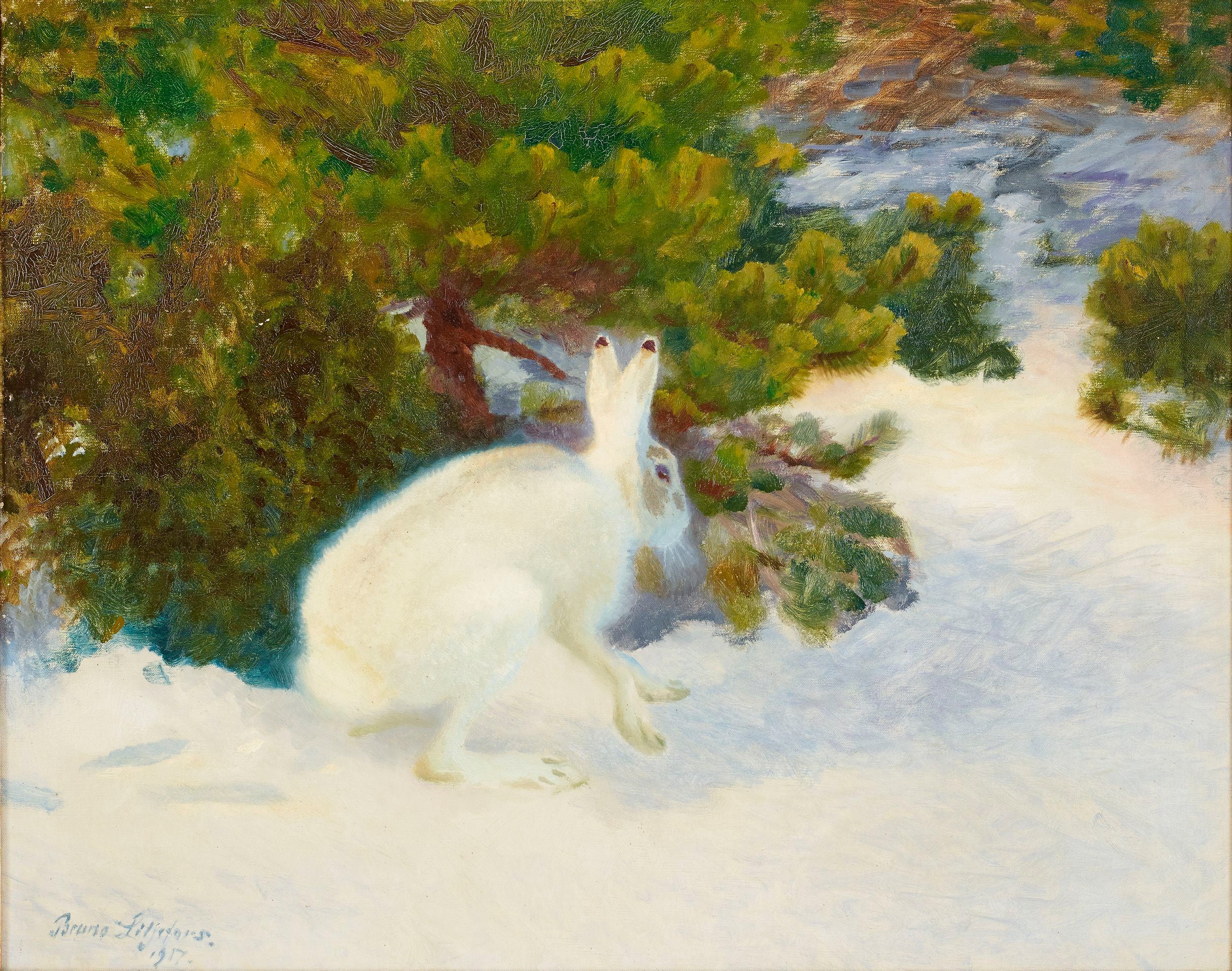 Lièvre d'hiver - Bruno Liljefors