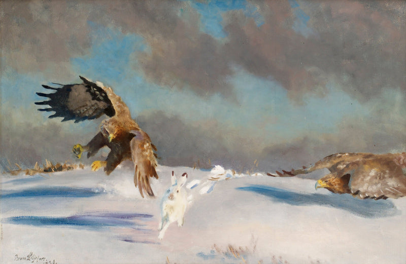 Des pygargues à queue blanche attaquent des lièvres d'hiver - Bruno Liljefors