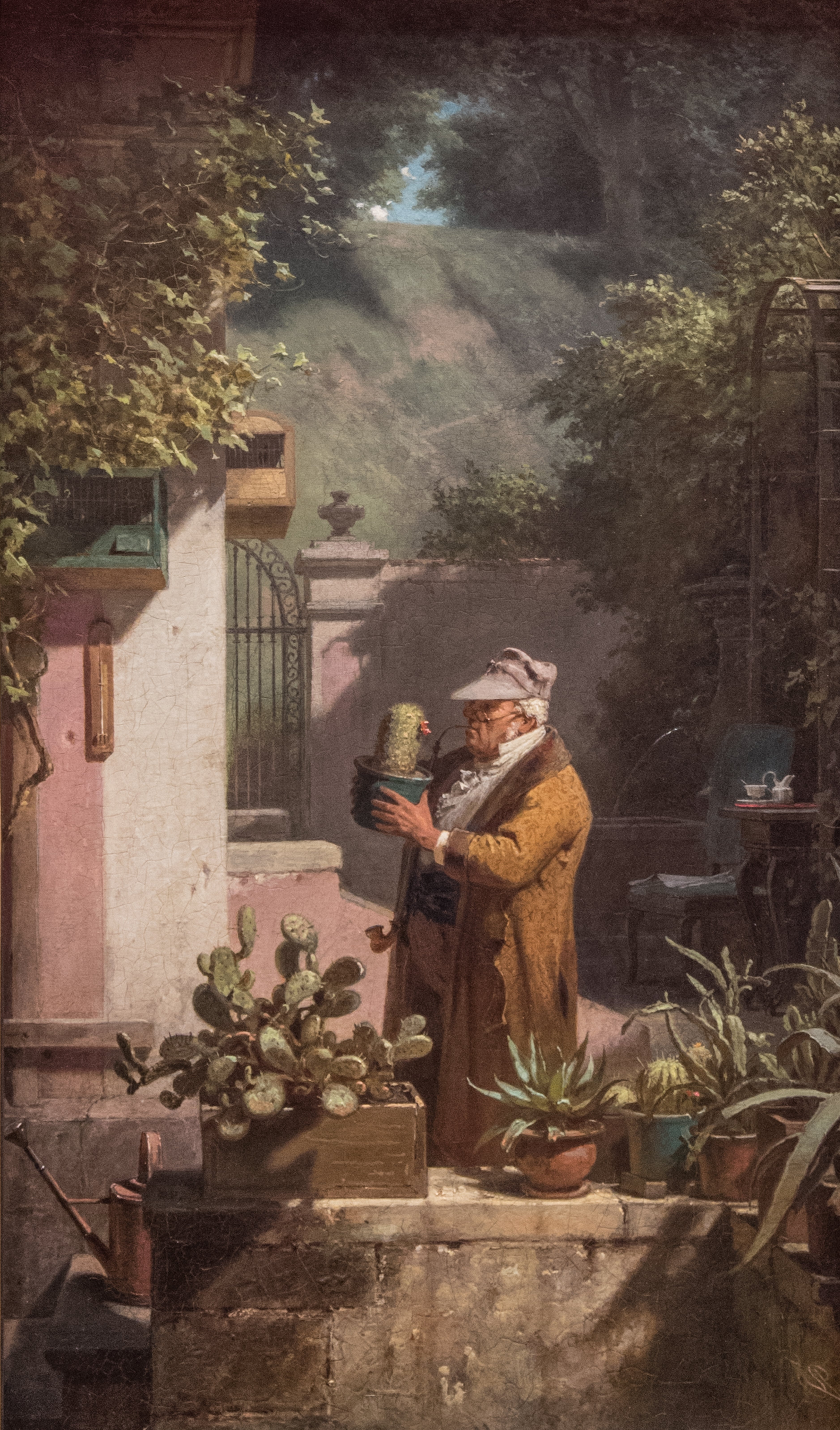 Miłośnik kaktusów - Carl Spitzweg