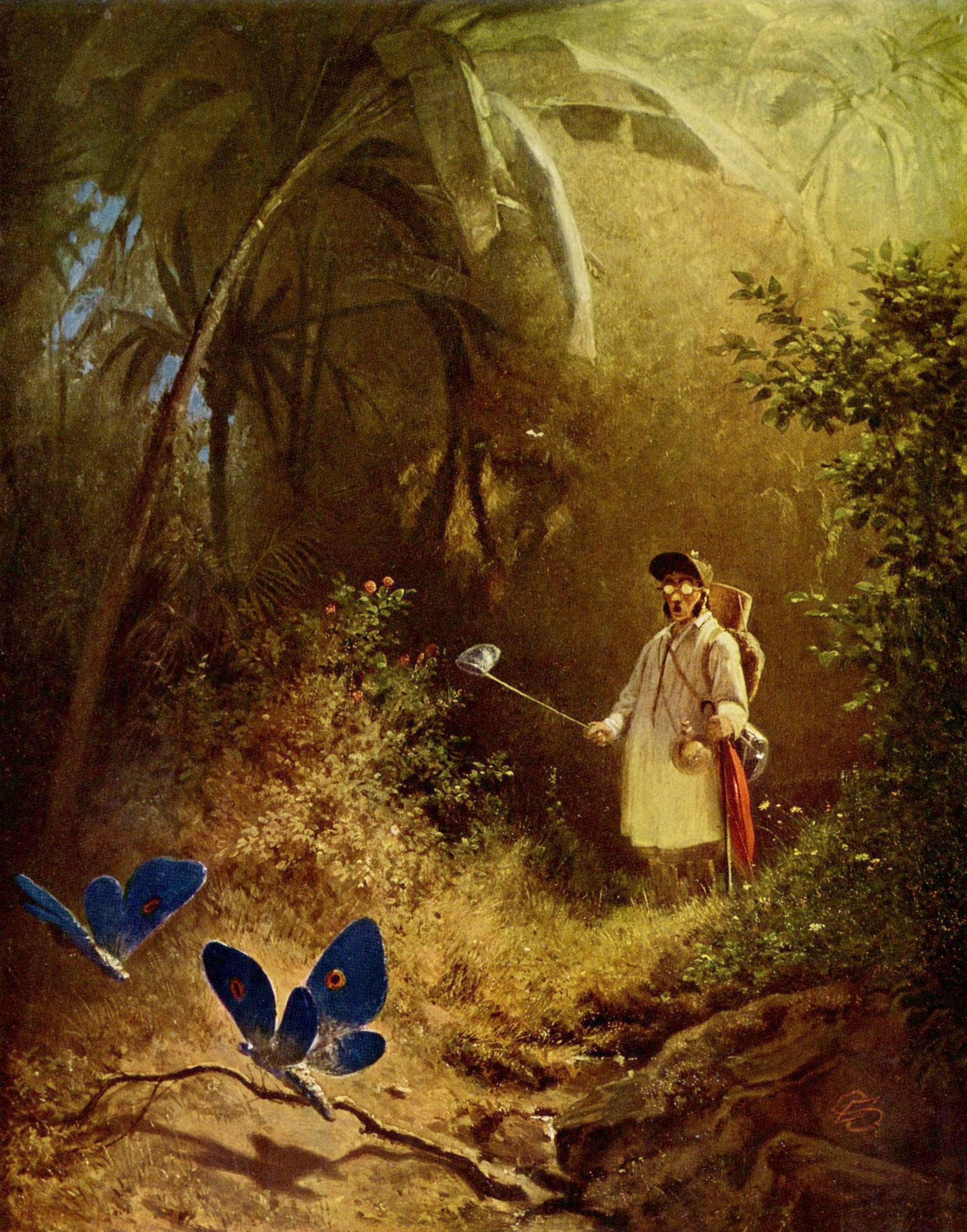 Łowca motyli - Carl Spitzweg