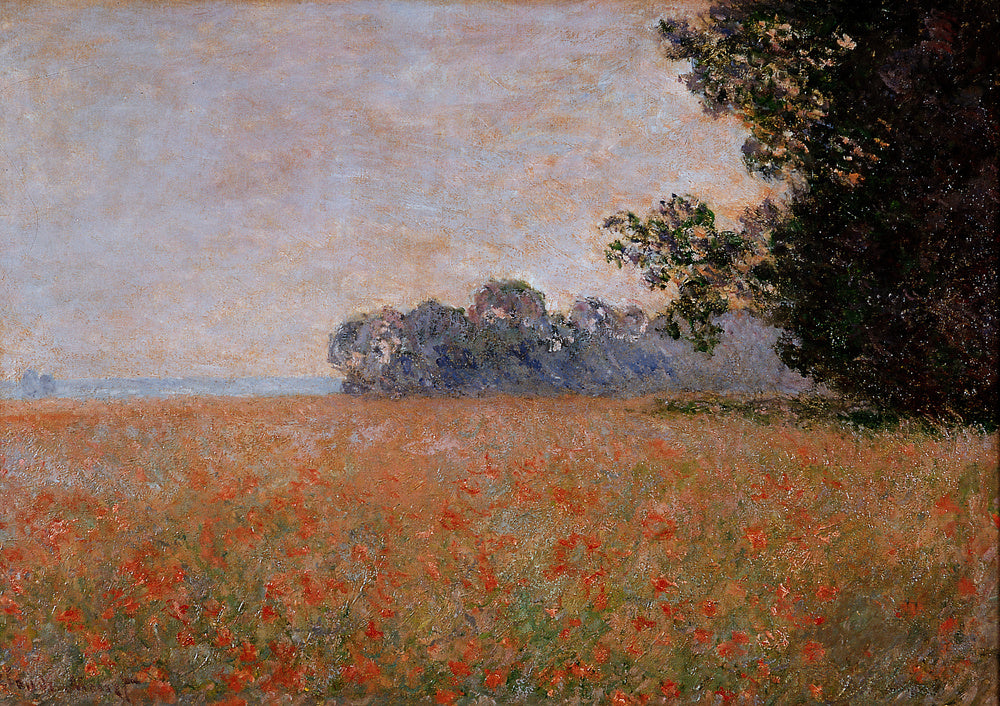 🌾 Pole owsa z makami – Claude Monet (około 1890)