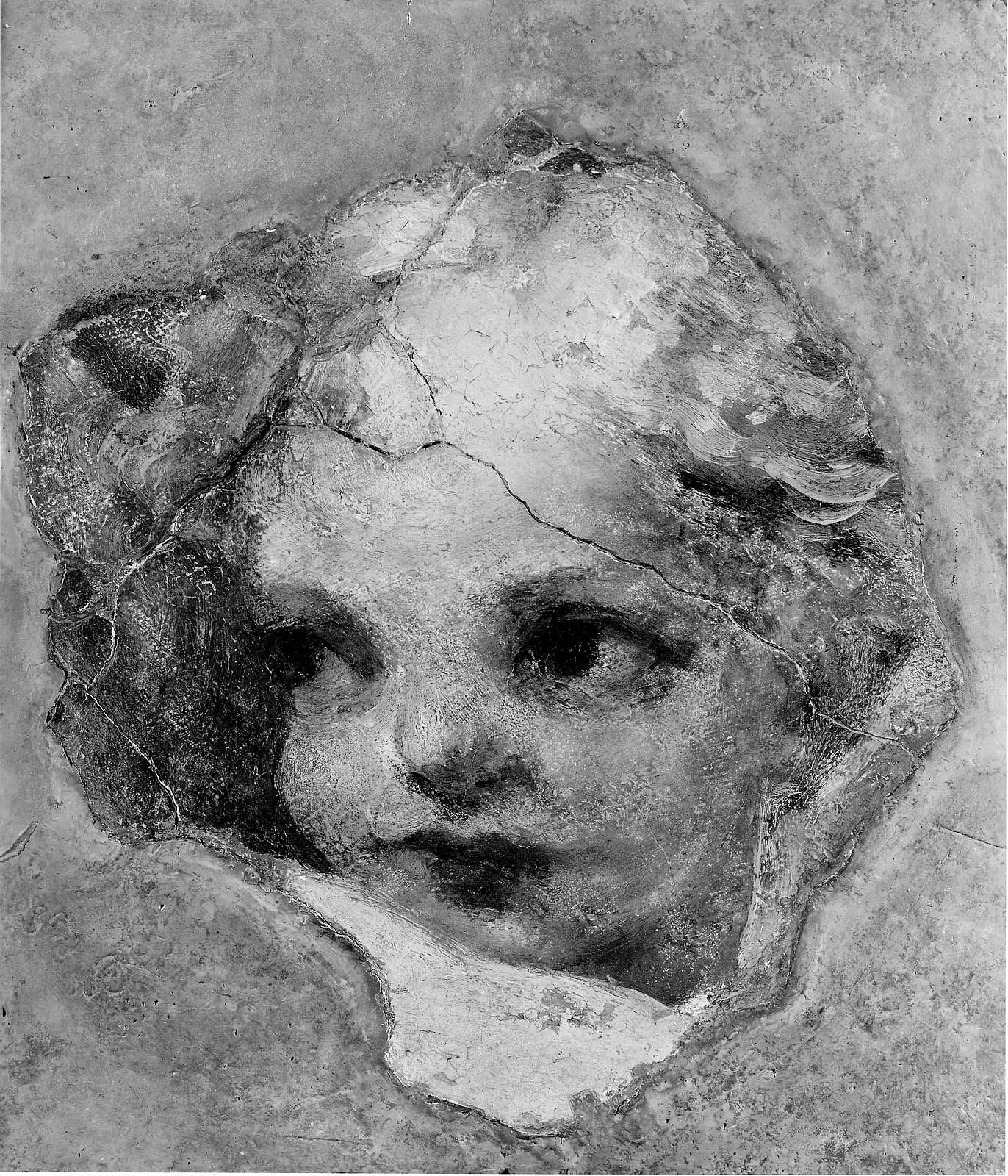 Tête de chérubin - Antonio da Correggio