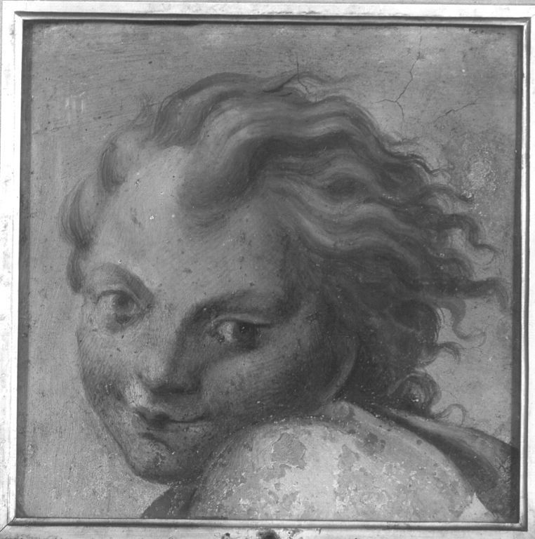 Q30093989 - Antonio da Correggio