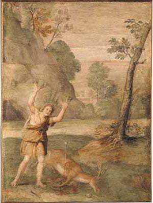 Przemiana Cyparissa - Domenichino
