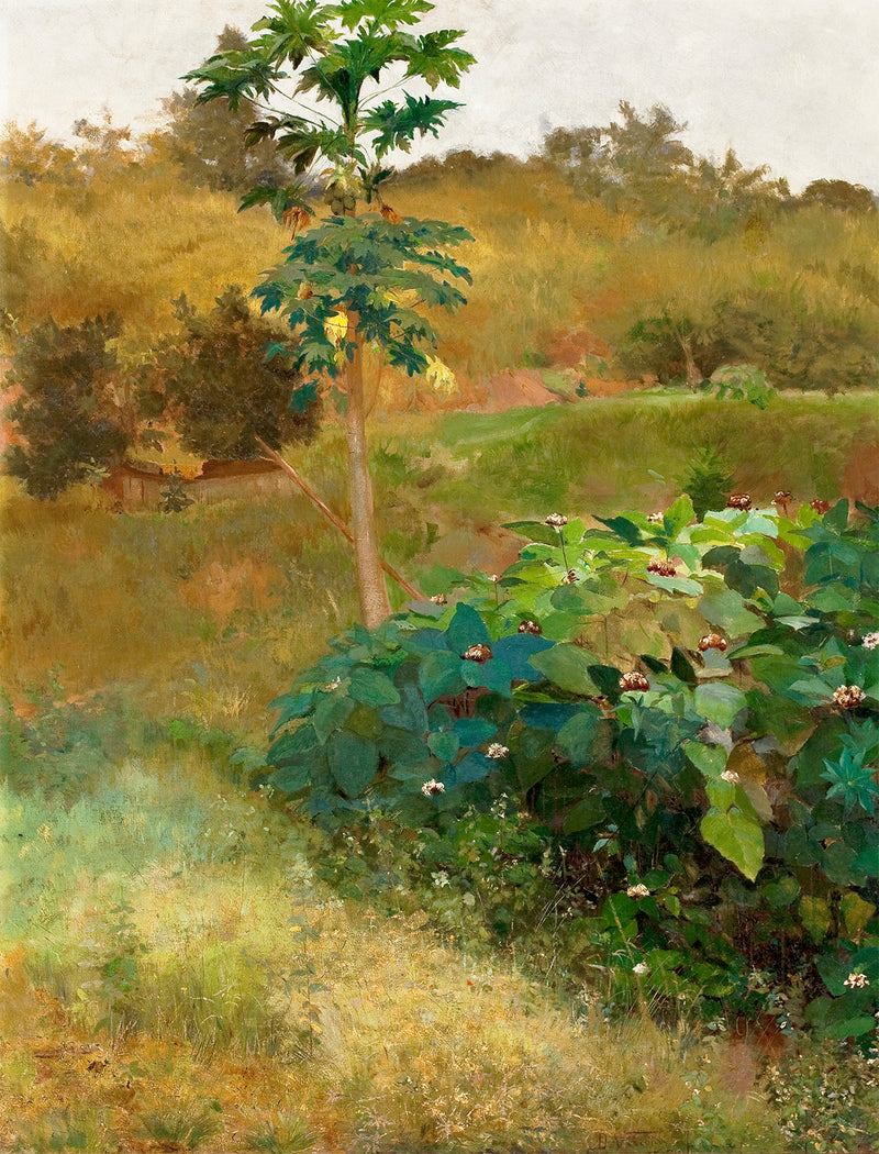 Mamoeiro - Eliseu Visconti