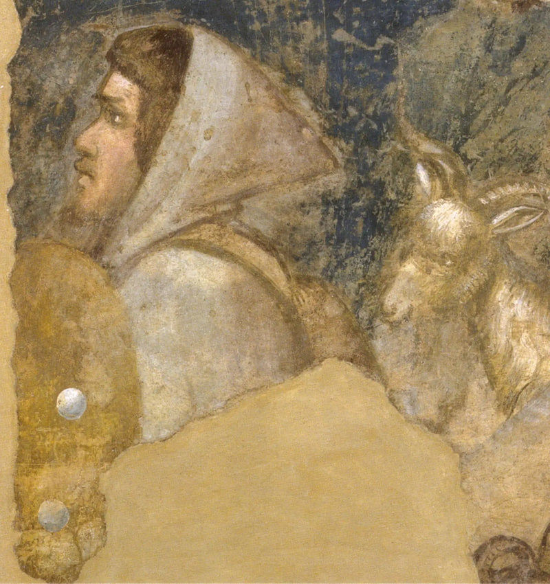 Głowa pasterza - Giotto