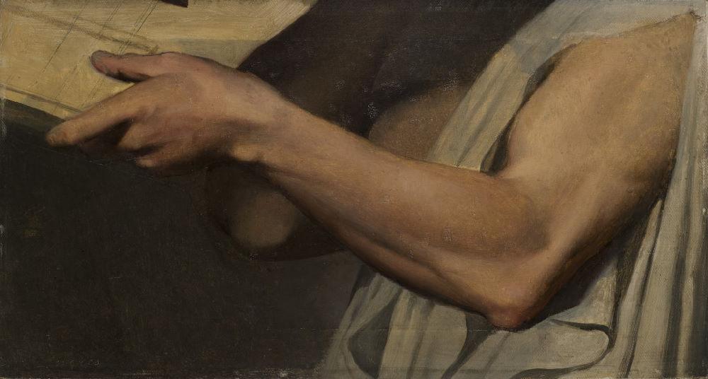Studium ramienia dla Pindara w Apoteozie Homera - Jean-Auguste-Dominique Ingres
