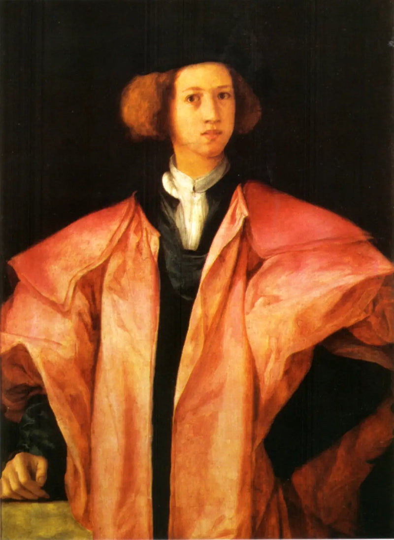 Portret młodego mężczyzny - Pontormo