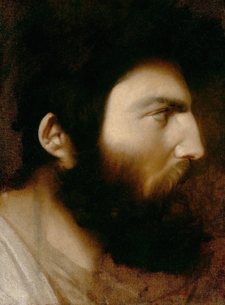 Profil mężczyzny z brodą - Jean-Auguste-Dominique Ingres
