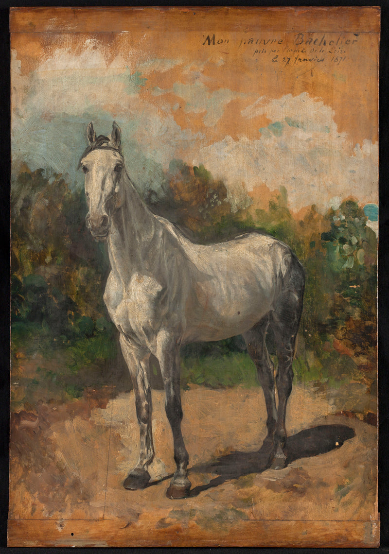 Bachelier, cheval de l'artiste - Ernest Meissonier