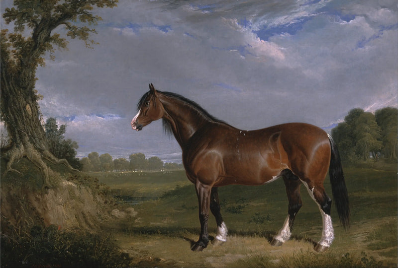 Ogier Clydesdale - John Frederick Herring, Sr.