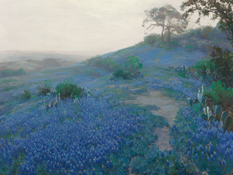 Pole Blue Bonnet, wcześnie rano, San Antonio, Teksas - Julian Onderdonk