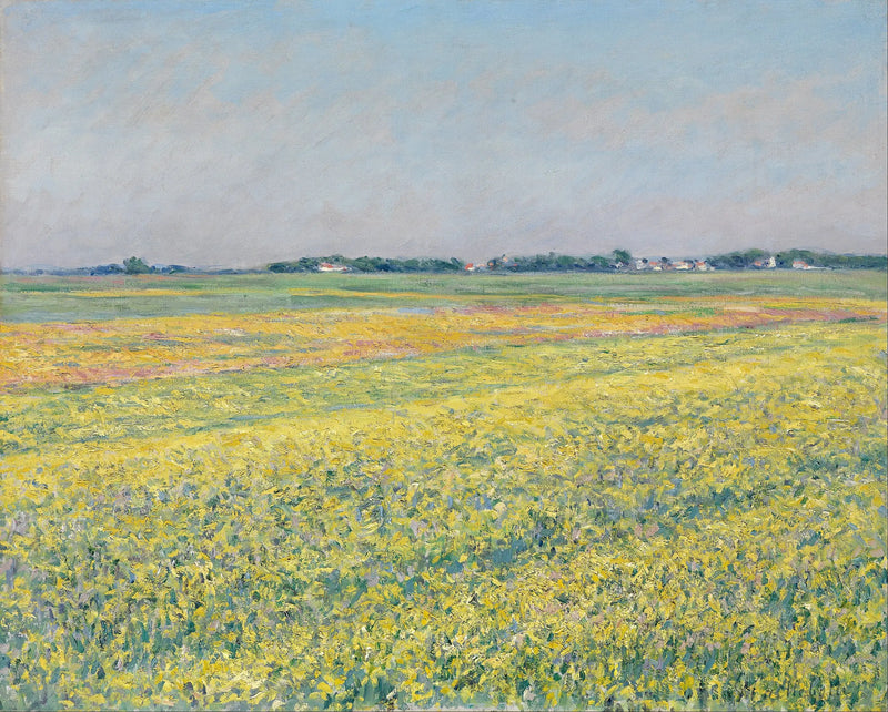 Równina Gennevilliers, żółte pola - Gustave Caillebotte