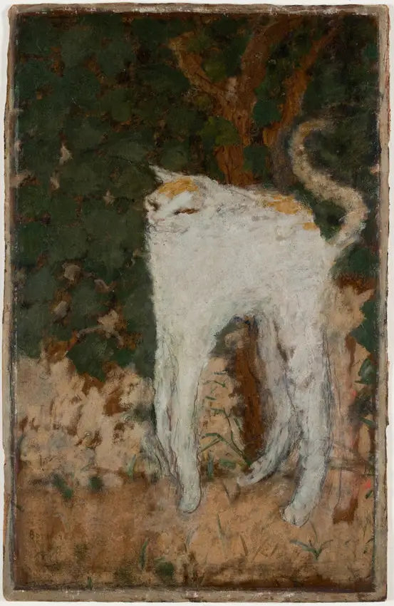Biały kot - Pierre Bonnard