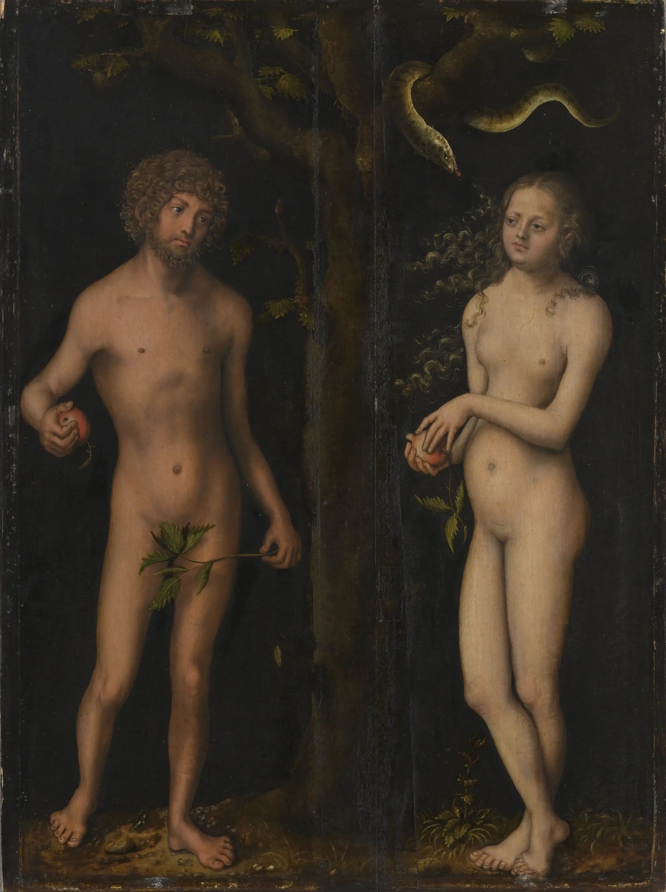 Adam et Ève - Lucas Cranach the Elder - Alpha Reproduction
