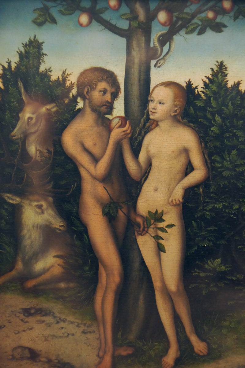 Adam i Ewa - Lucas Cranach Starszy