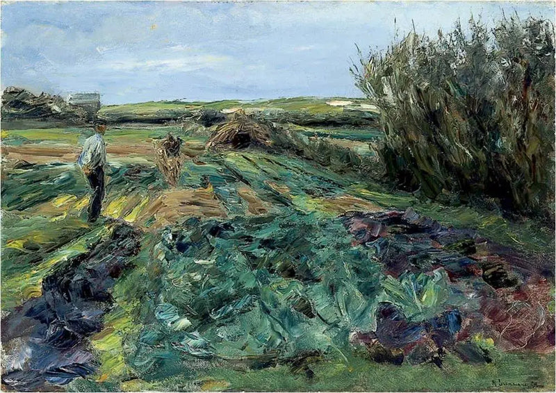Pole kapusty (pole kapusty w Noordwijk) - Max Liebermann