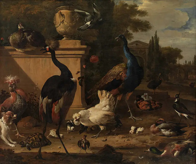 Enclos pour poules dans un manoir - Melchior de Hondecoeter - Alpha Reproduction
