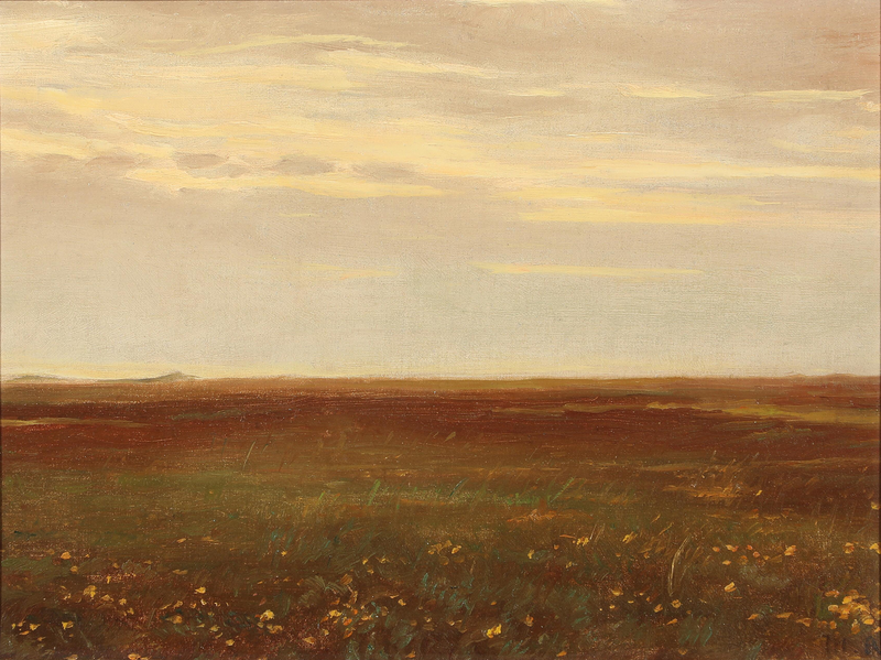 Paysage avec des fleurs sauvages. - Michael Peter Ancher