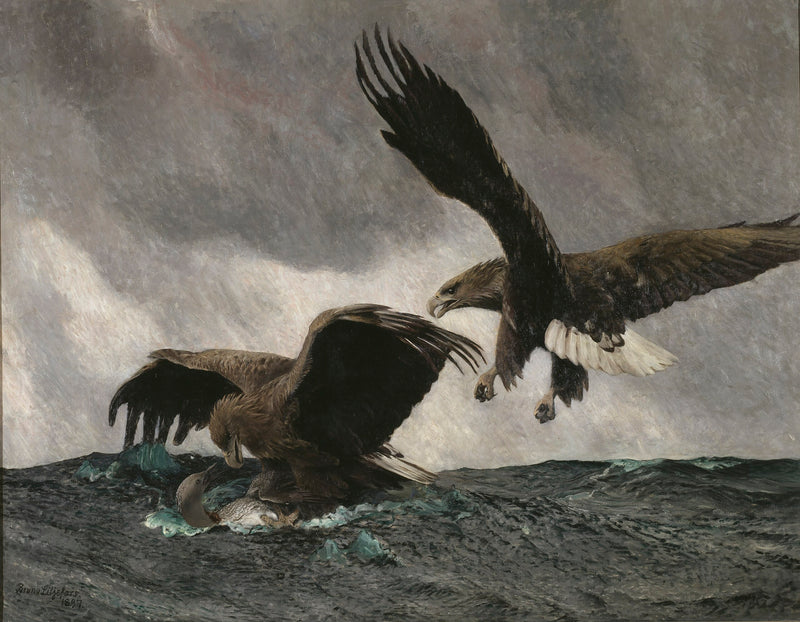 Aigles de mer - Bruno Liljefors
