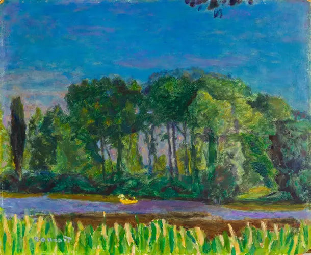 Brzegi Sekwany - Pierre Bonnard