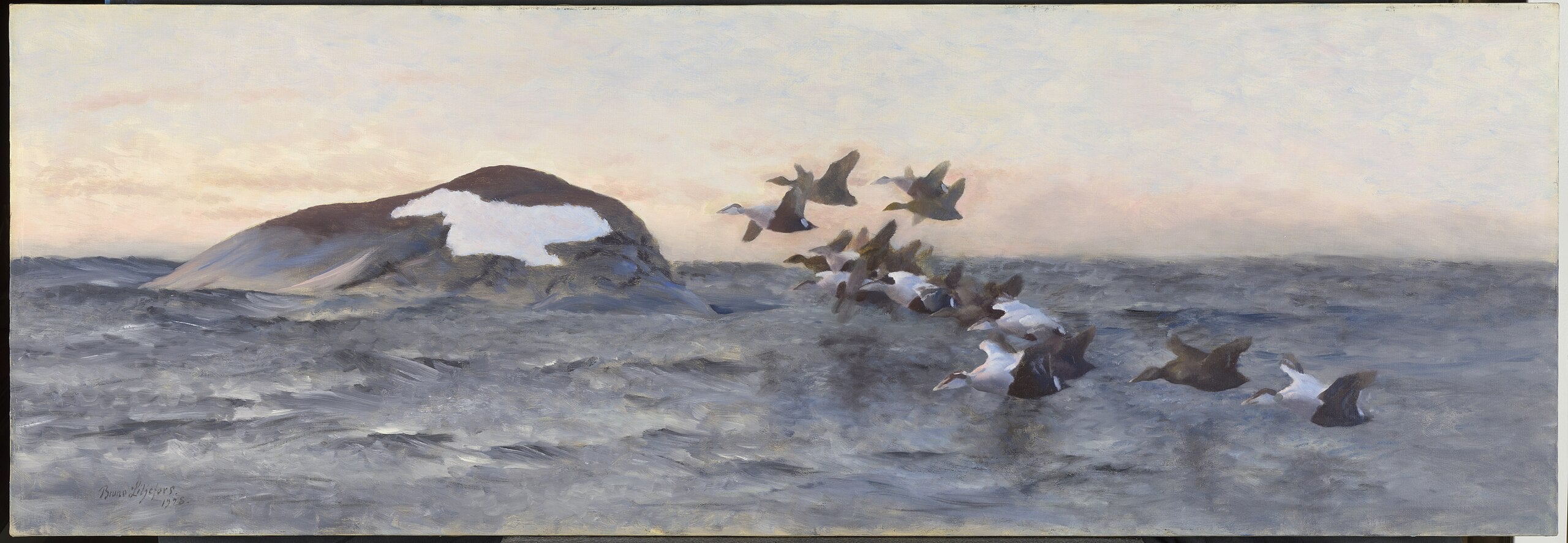 Des eiders volant près d'une falaise - Bruno Liljefors