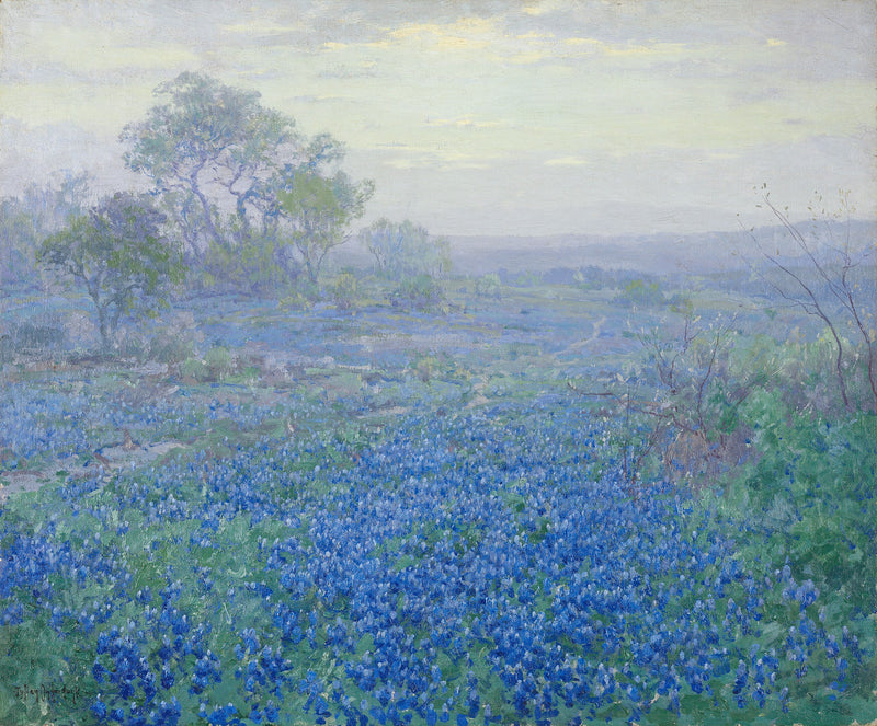 Pogodny dzień, niebieskie lupiny w pobliżu San Antonio, Teksas - Julian Onderdonk