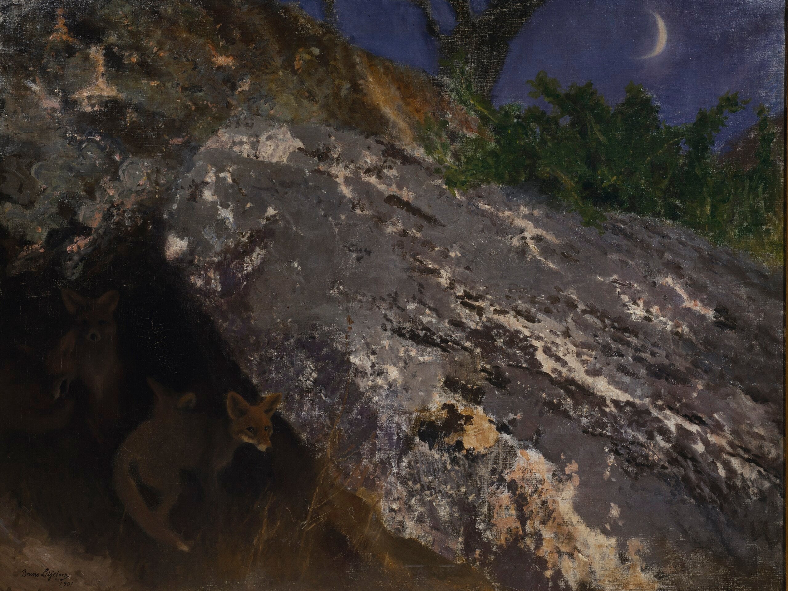 Renardeaux - Bruno Liljefors