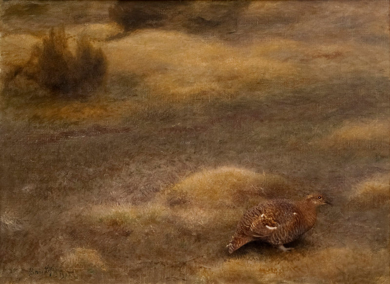 Tétras femelle - Bruno Liljefors