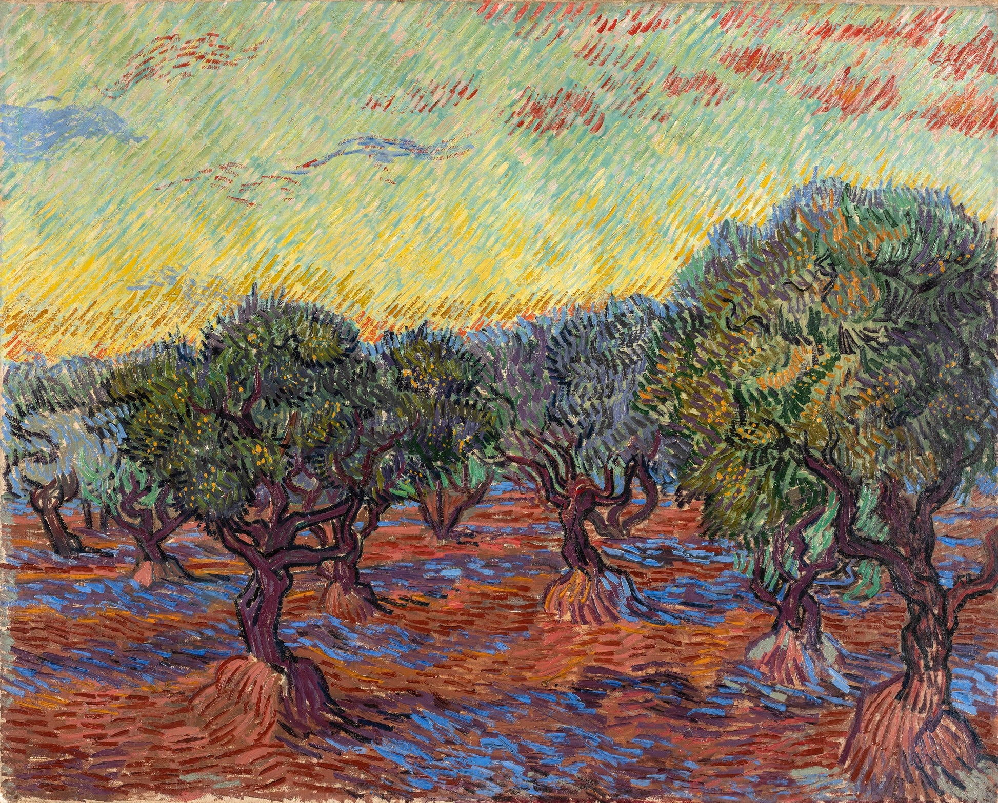 Gaj oliwny, Saint-Rémy - Vincent van Gogh