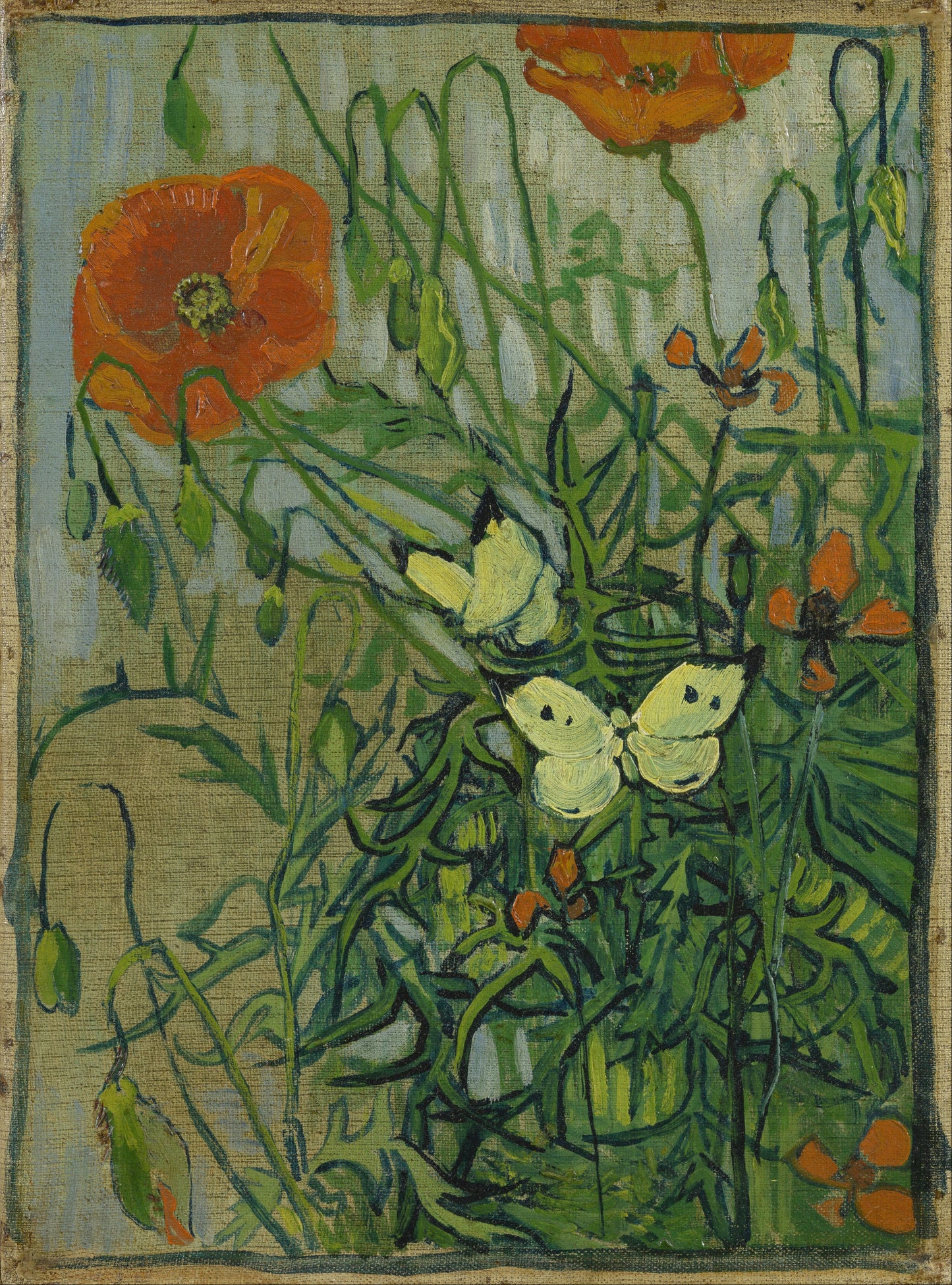 🦋 Motyle i maki – Vincent van Gogh (1890)