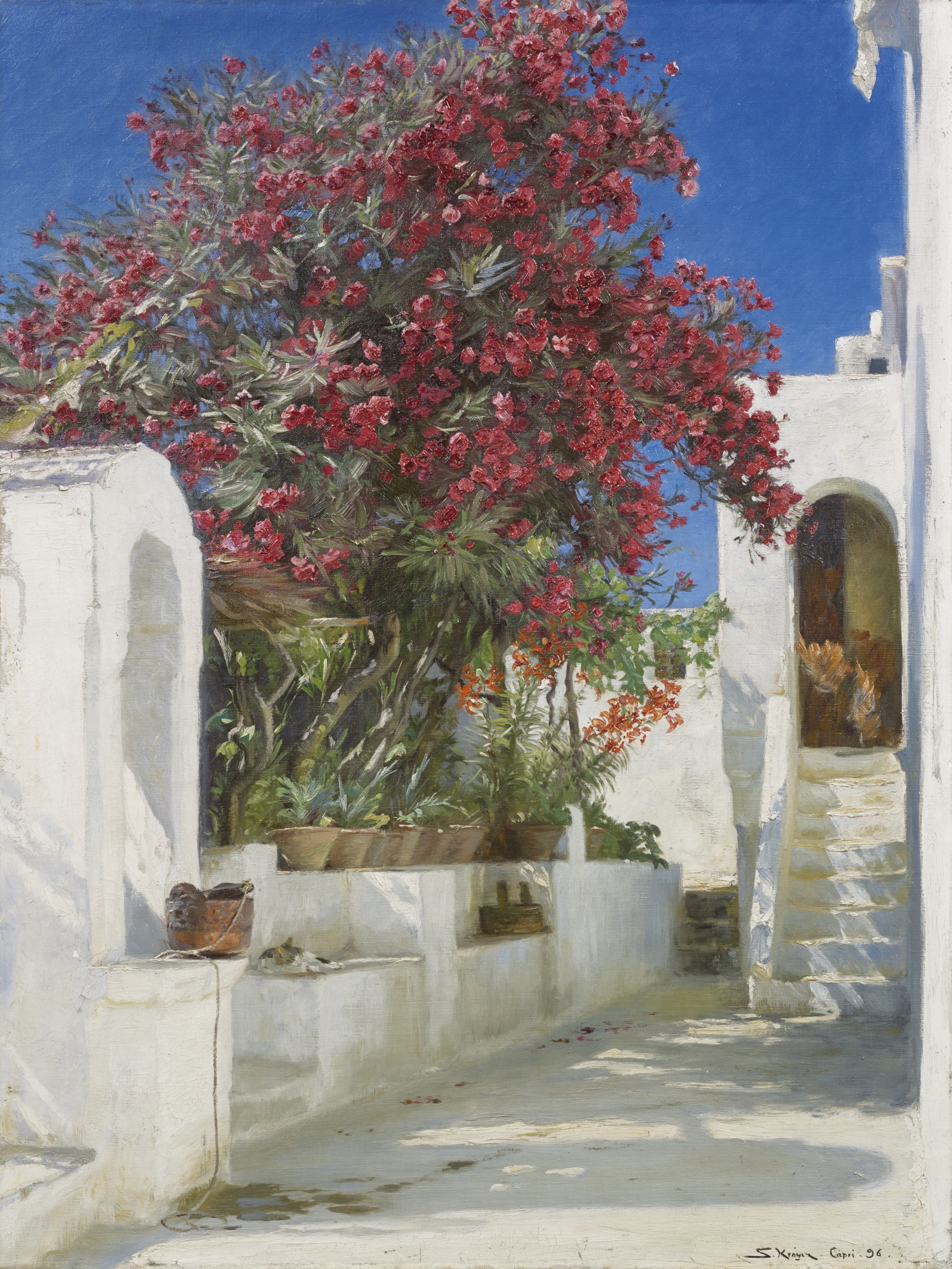 Róże laurów w kwiatach, Capri - Peder Severin Krøyer
