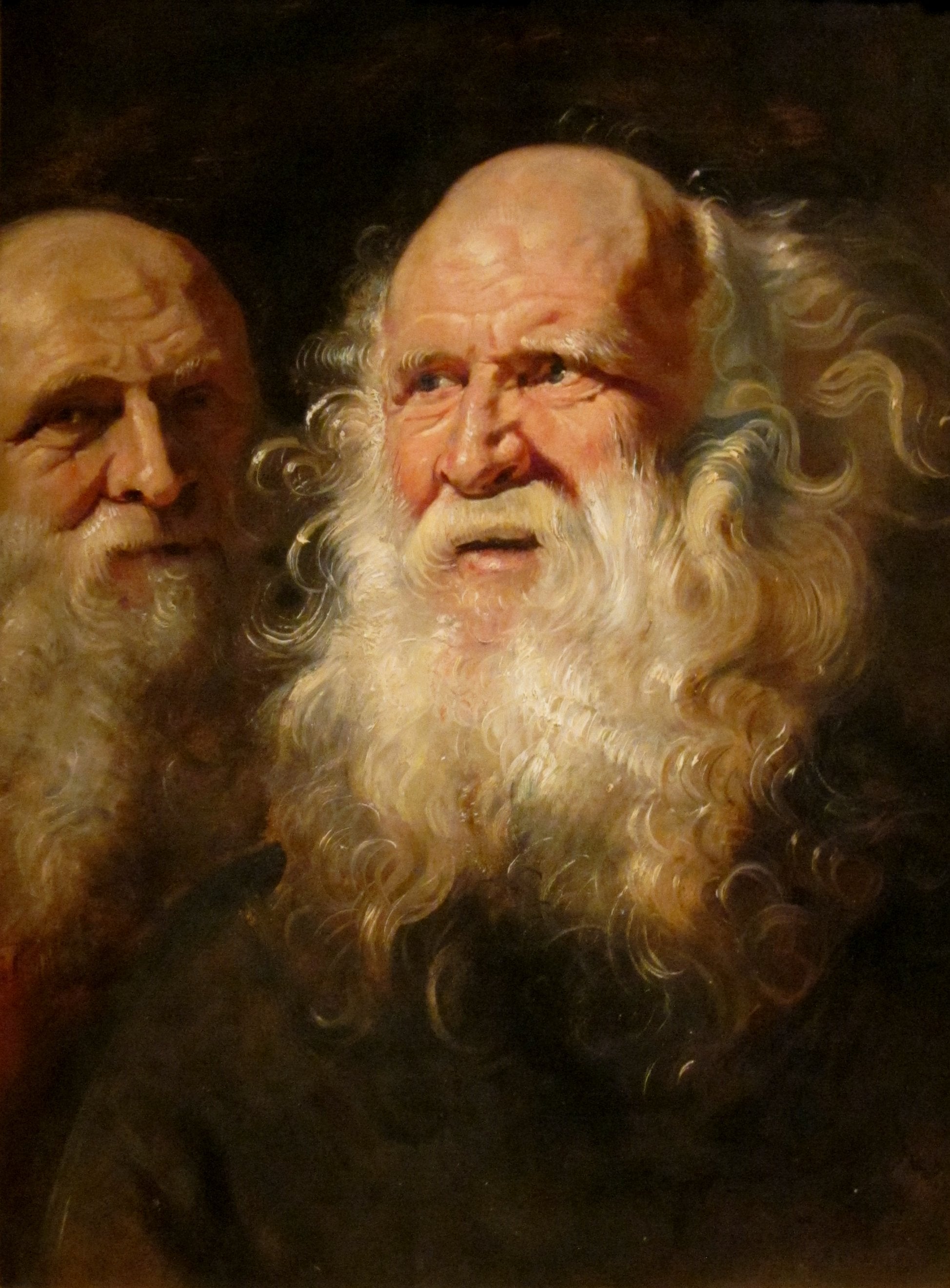 Studium dwóch brodatych starców - Peter Paul Rubens