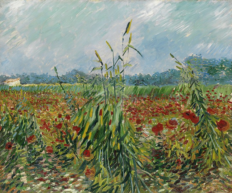 🌾 Zielone kłosy pszenicy – Vincent van Gogh (1888)